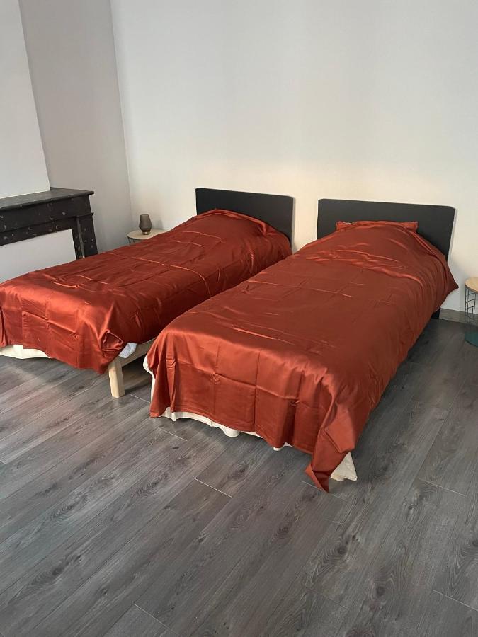 "Le Machao" - Cosy T3 - Centre Ville Mâcon Eksteriør billede